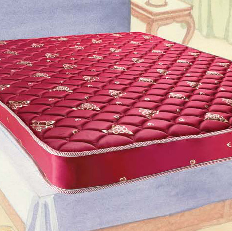 RICHFEEL Senorita quilted coverd faom mattresses 6"